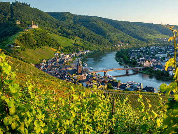 Mosel