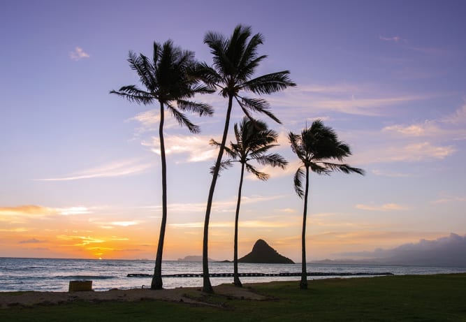 Hawaii Kreuzfahrt Beste Schiffsreisen Angebote Mit Flug