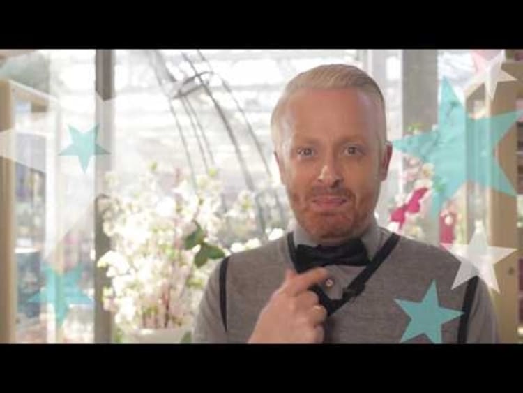 Stars del Mar Konzertreise auf der Mein Schiff 6