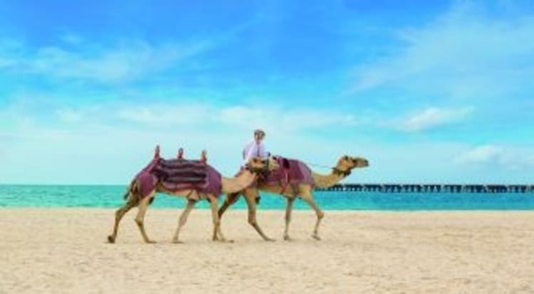 &Eacute;mirats arabes unis Croisi&egrave;re