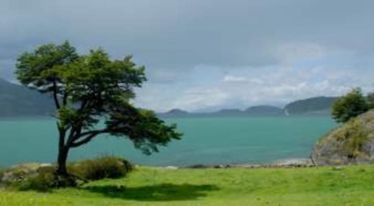 Argentini&euml; Cruise