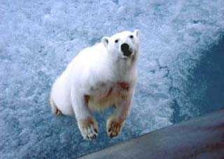 Expedities Cruise - Foto 1