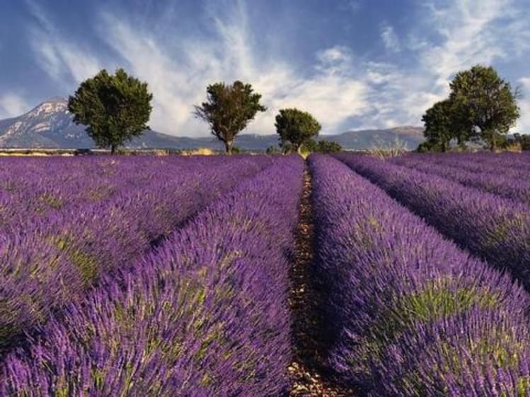 Frankreich Kreuzfahrt - Bild 1