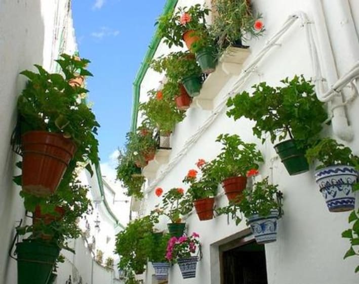 Guadalquivir Cruzeiro - Bild 1