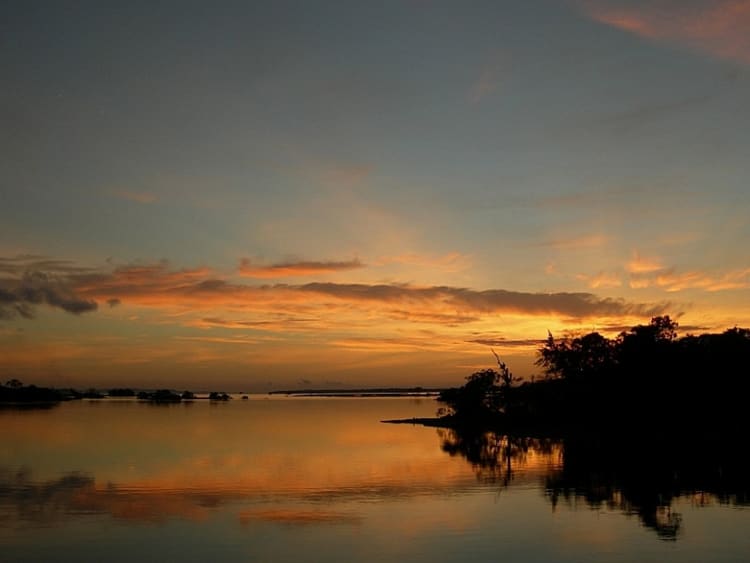 Amazon Cruise - Picture 6