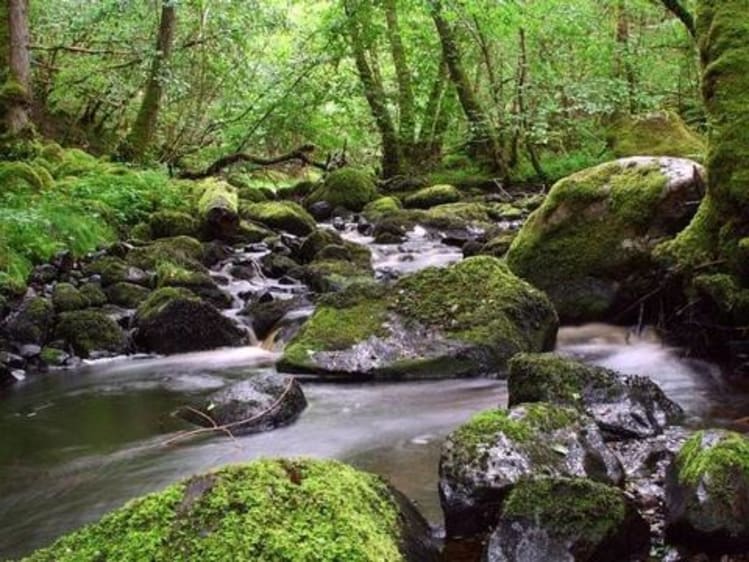 Kaledonischer Kanal Kreuzfahrt - Bild 1