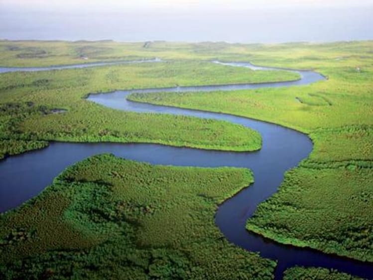 Gambie Croisi&egrave;re - Image 2