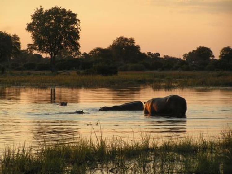 Gambie Croisi&egrave;re - Image 1