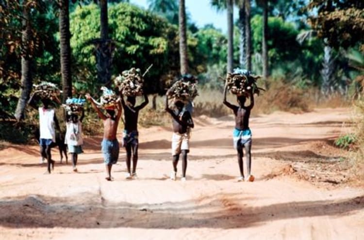 Gambie Croisi&egrave;re - Image 3