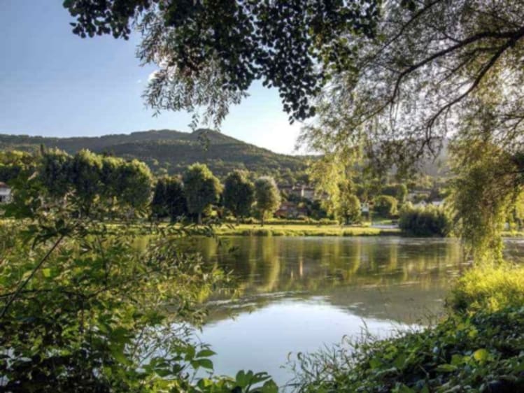 Loira Crucero - Bild 2