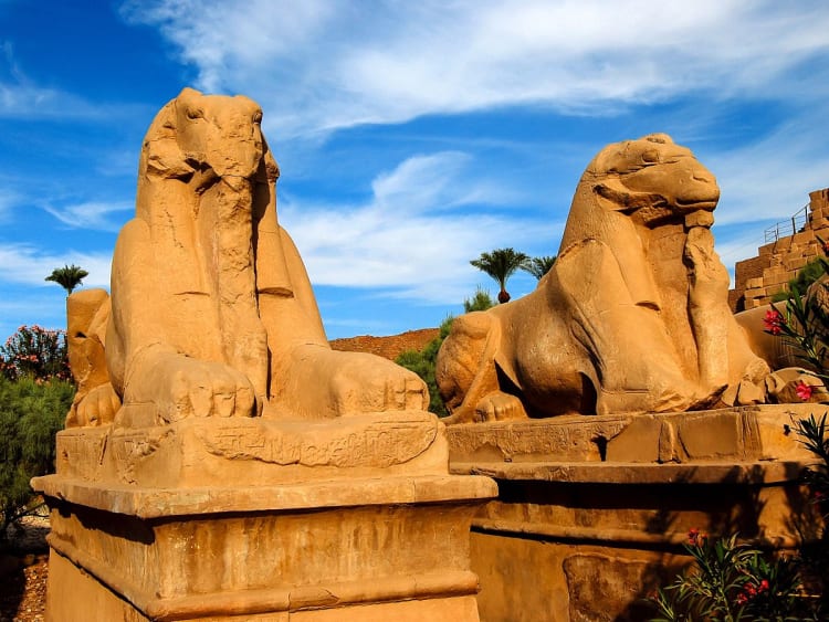 Sum&eacute;rjase en la historia &ndash; reserve ahora su crucero