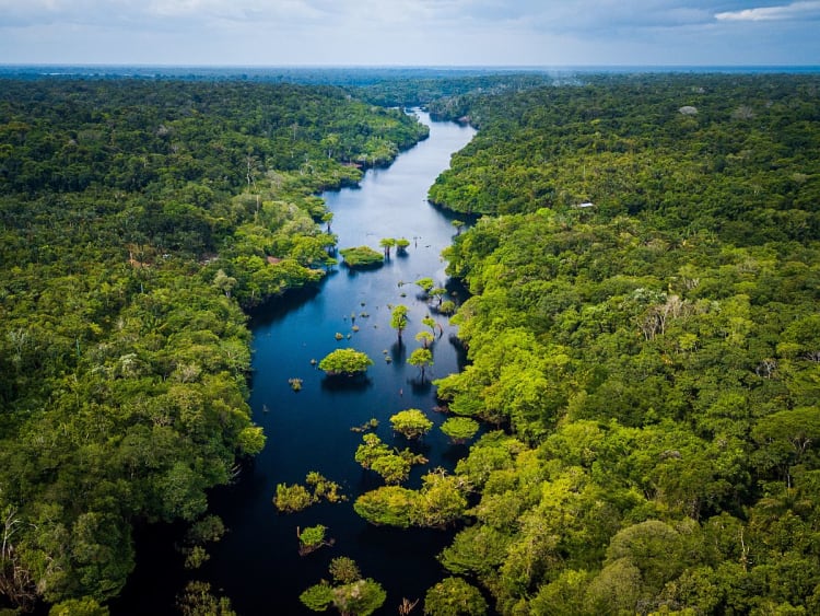 Entdecke den Amazonas &ndash; jetzt das Naturwunder erleben
