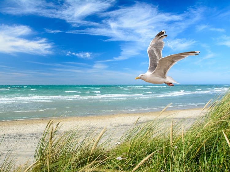 Mer du Nord Croisi&egrave;re - Image 1