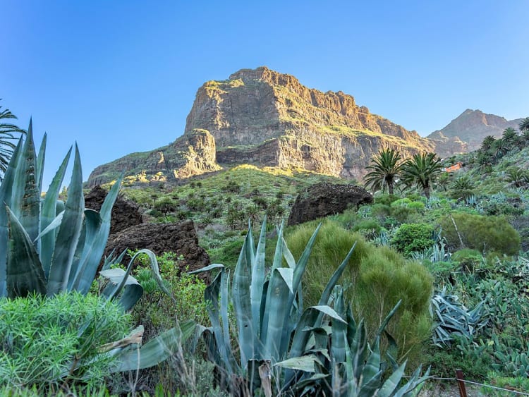 &Icirc;les Canaries Croisi&egrave;re - Image 1