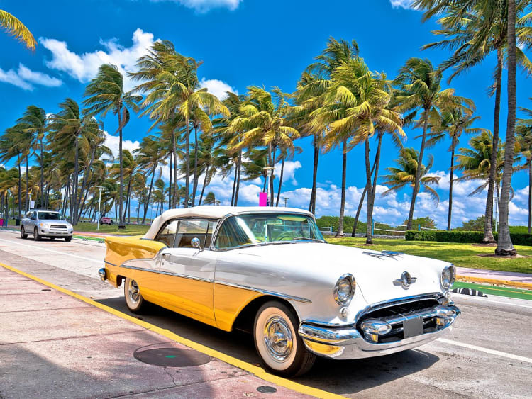 Am&eacute;rique du Nord Croisi&egrave;re - Image 1