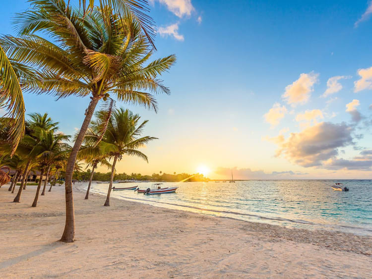 Palmen s&auml;umen einen ruhigen Sandstrand bei Sonnenuntergang am Meer