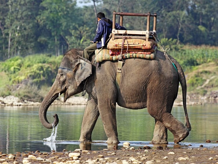Brahmaputra Kreuzfahrt - Bild 3