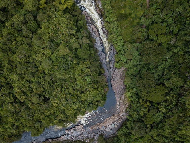 Fleuve Magdalena Croisi&egrave;re - Image 1