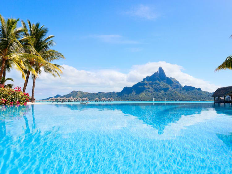 Traumhafte Kreuzfahrtkulisse mit Palmen und Blick auf eine Insel