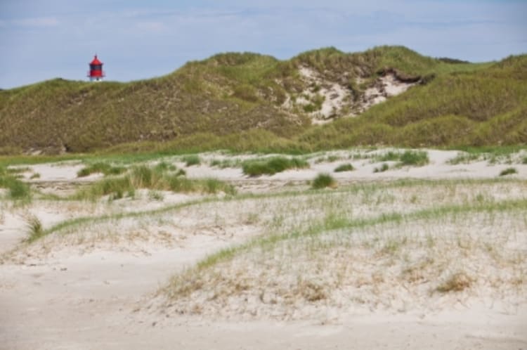 Amrum (Allemagne) - Image 35