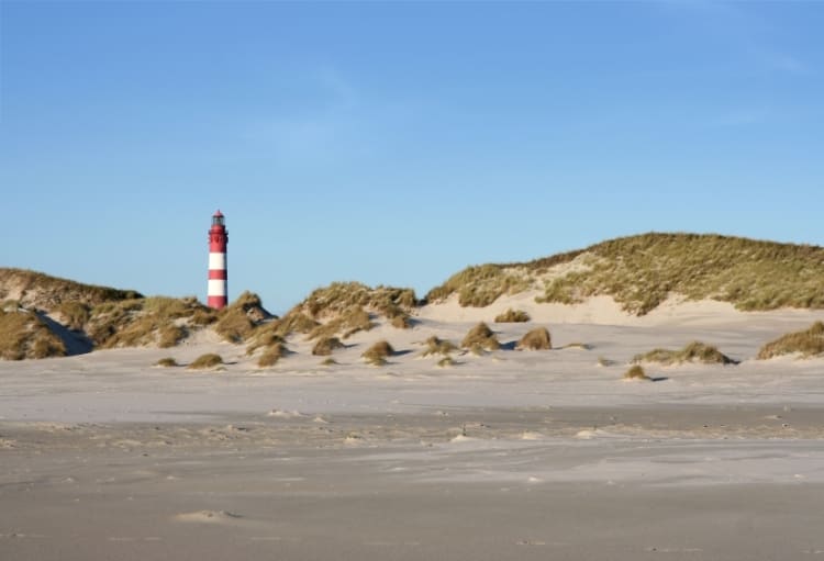 Amrum (Allemagne) - Image 36