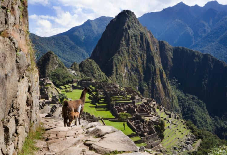 Machu Picchu (Peru) - Picture 51