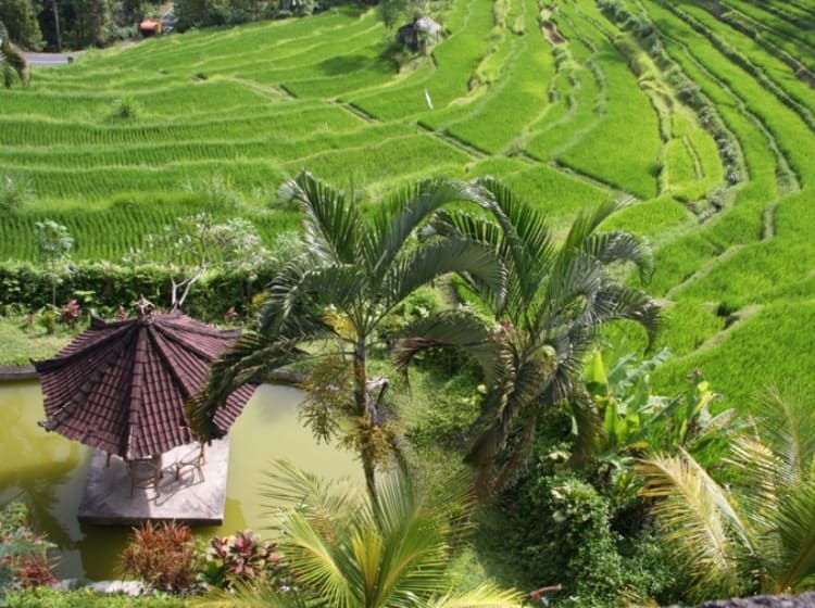 Bali (Indonesien) - Bild 22