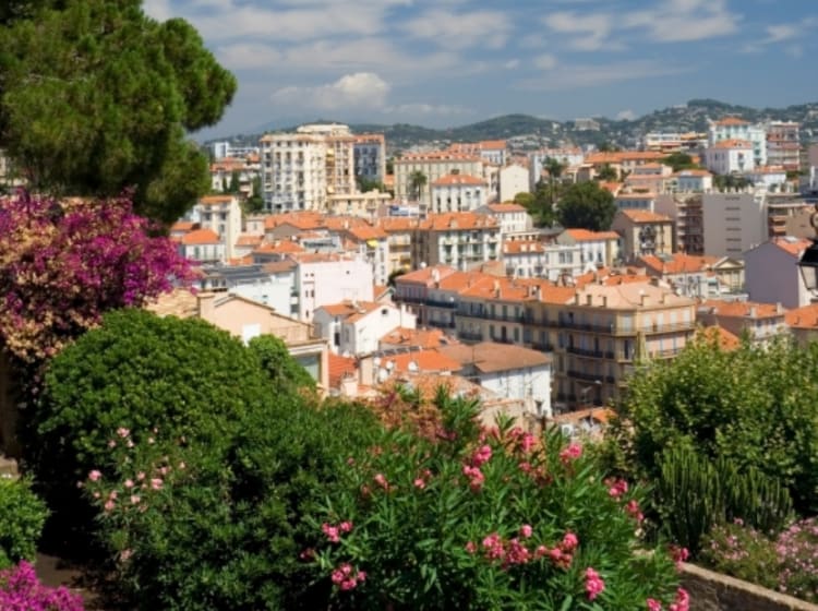 Cannes (Frankreich) - Bild 56