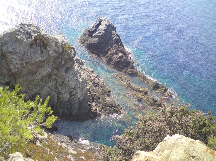 Porquerolles (France) - Image 47