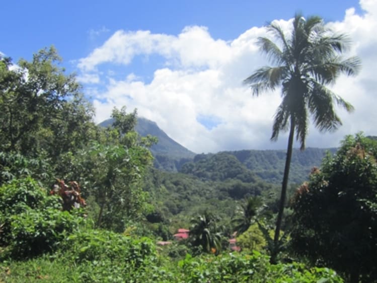 Dominica (Dominica) - Bild 37