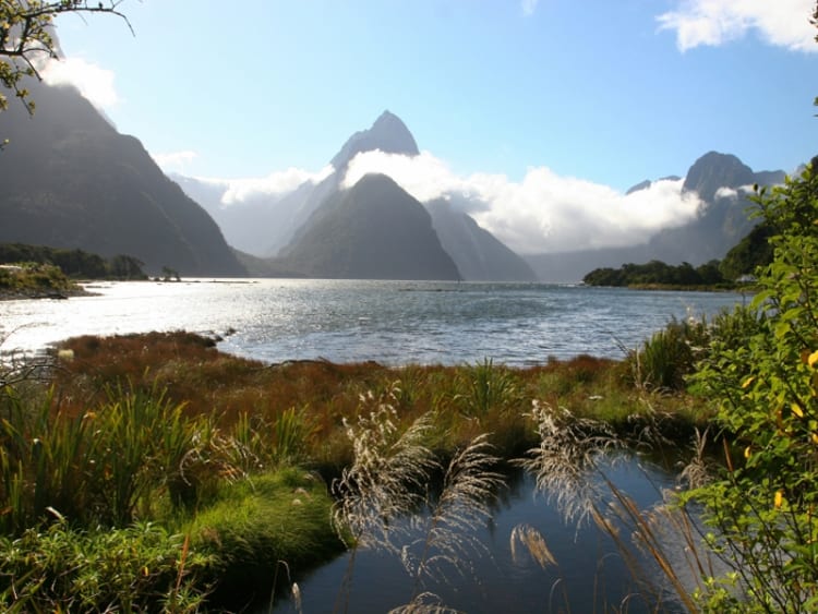 Milford Sound (Neuseeland) - Bild 47