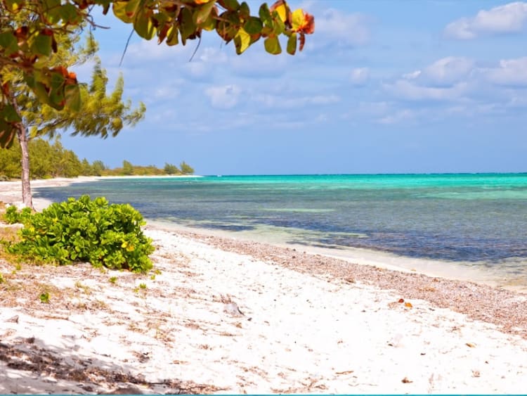 George Town (Grand Cayman, Kaimaninseln) - Bild 28