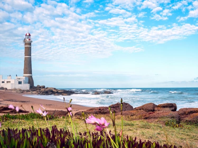 Punta del Este (Uruguay) - Bild 41