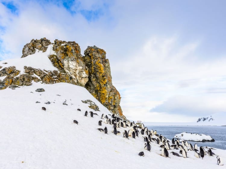 Antarktische Halbinsel (Antarktis) - Bild 43