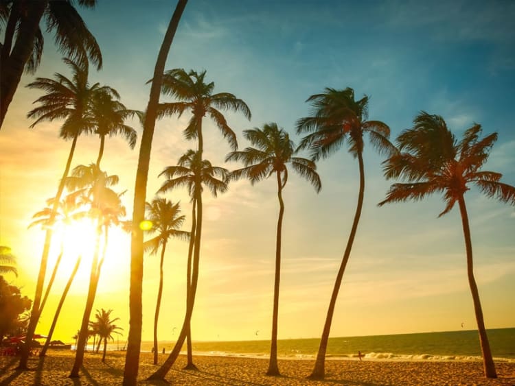 Fortaleza (Cear&aacute;, Brasilien) - Bild 33