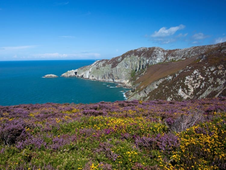 Holyhead (Wales) - Bild 35