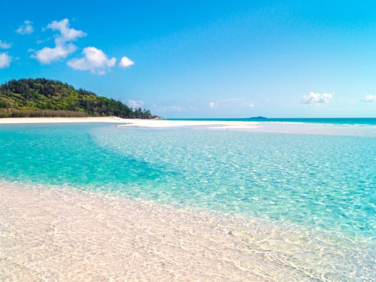 Airlie Beach (Queensland, Australien) - Bild 32