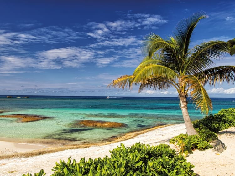 Great Stirrup Cay (Bahamas) - Bild 58