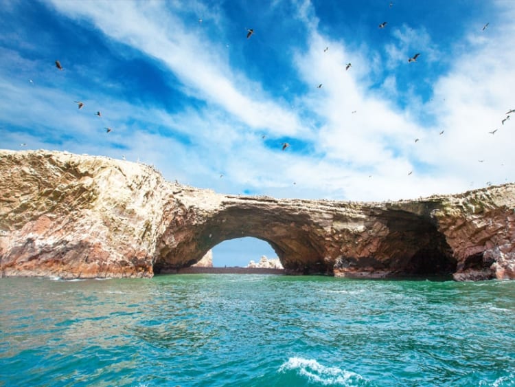 Pisco (Peru) - Bild 44