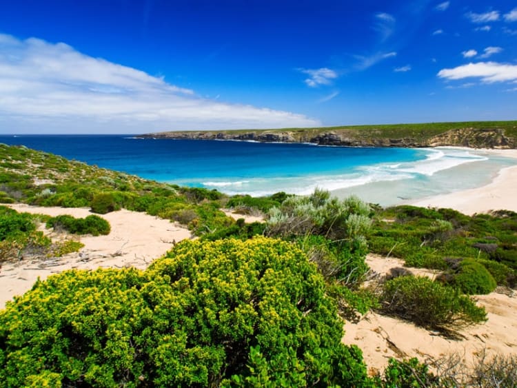 Kangaroo Island (South Australia, Australien) - Bild 71
