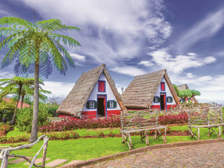 Madeira (Portugal) - Picture 27