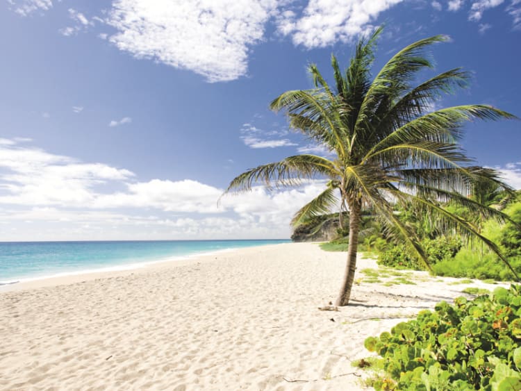 Barbados (Barbados) - Bild 16