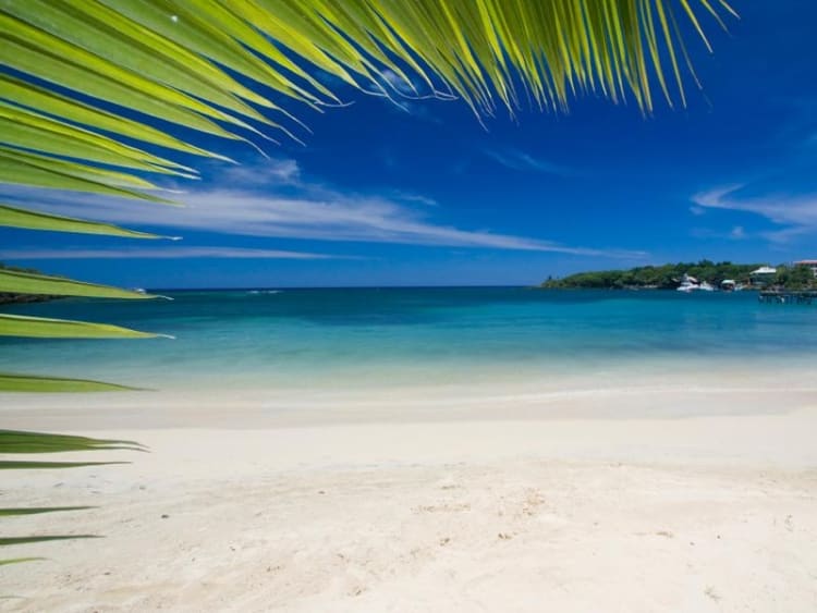 Roat&aacute;n (Islas de la Bah&iacute;a, Honduras) - Bild 30