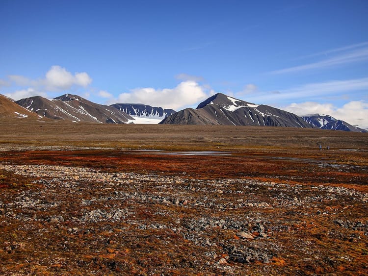 Longyearbyen (Spitzbergen, Svalbard) - Bild 52