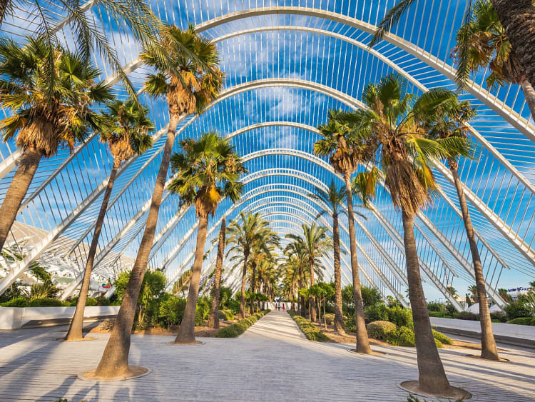Valencia, Spanien &ndash; Palmenallee unter futuristischen B&ouml;gen im L&rsquo;Umbracle Gartenbauwerk