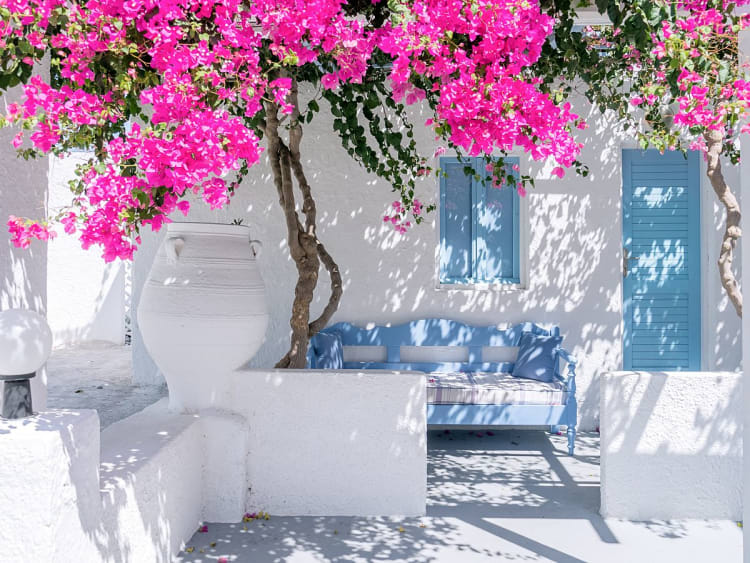 Santorini, Griechenland &ndash; Bougainvillea im Schatten wei&szlig;er Mauern