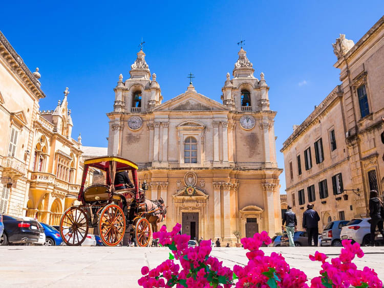 Valletta, Malta &ndash; Rosafarbene Bl&uuml;ten vor der Fassade der St.-Pauls-Kirche