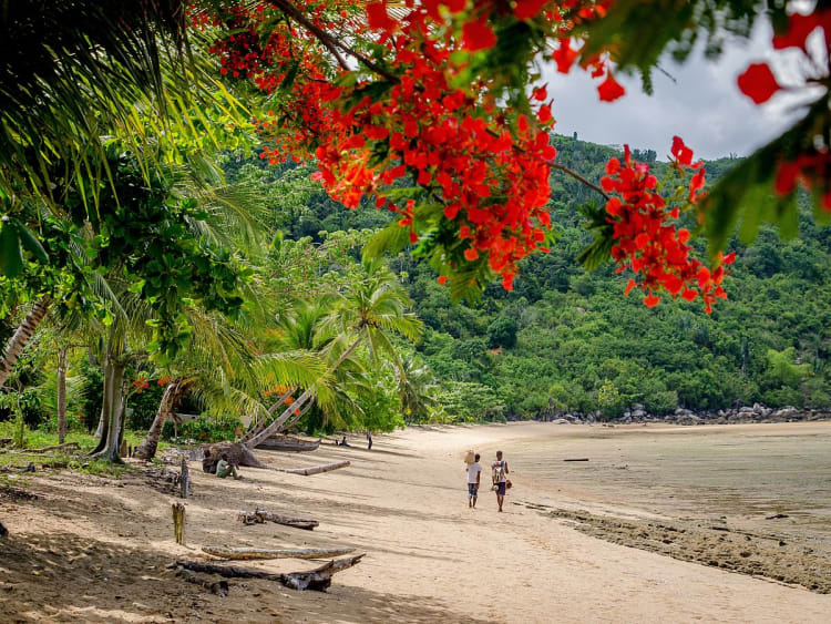 Nosy Be, Madagaskar &ndash; leerer Sandstrand mit Palmen und roten Tropenbl&uuml;ten