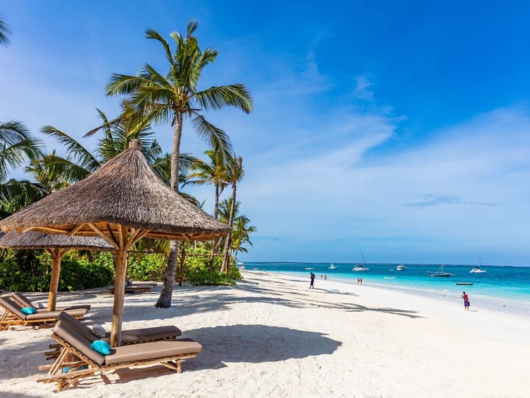 Sansibar, Tansania &ndash; entspannen Sie unter Palmen am wei&szlig;en Strand Ihrer Kreuzfahrt