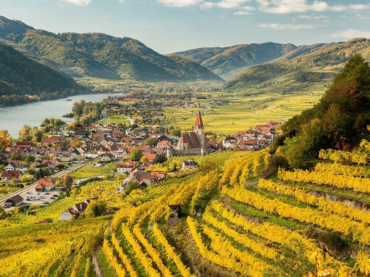 Wachau, &Ouml;sterreich &ndash; Terrassenweinberge und Donautal